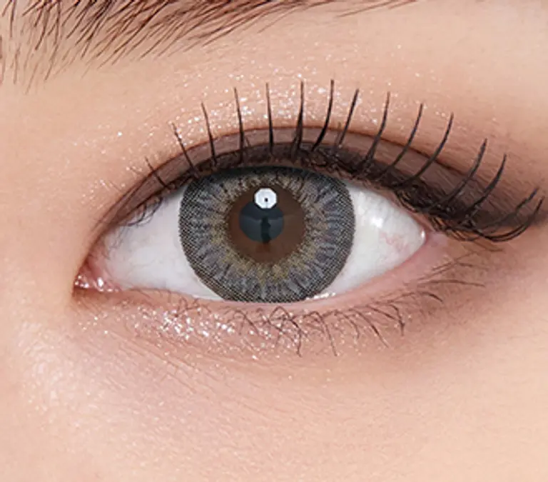 프렌치3콘 그레이